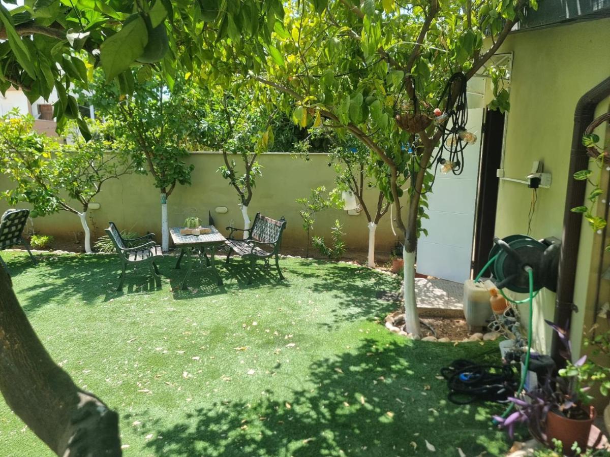 B&B Amit 18 Minutes From The Airport - אירוח כפרי עמית 18 דקות משדה תעופה Petach Tikva Esterno foto